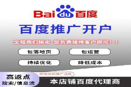 百度竞价广告运营的技巧与误区：成功案例解析